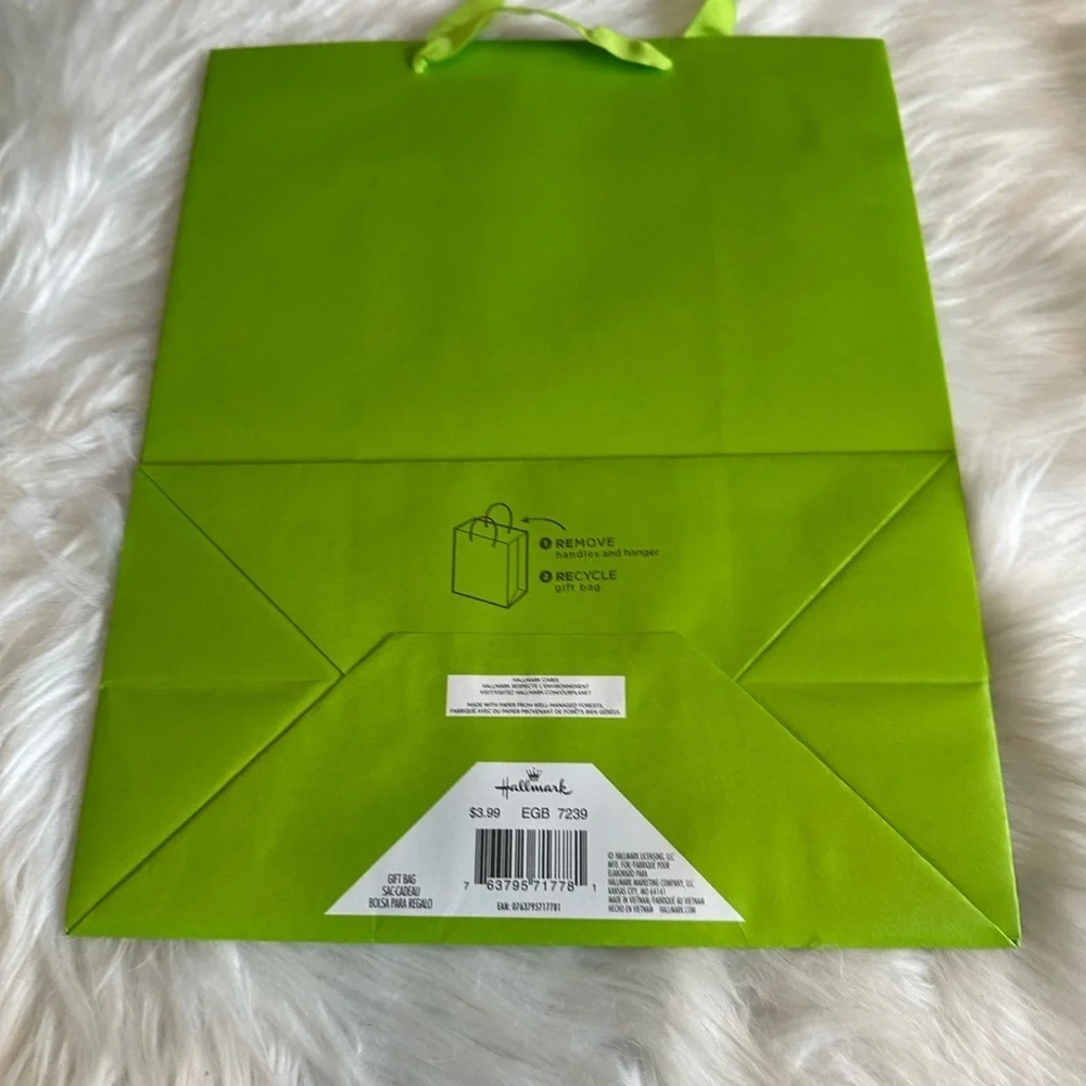 🩷5/$10 Lime Green gift  Bag